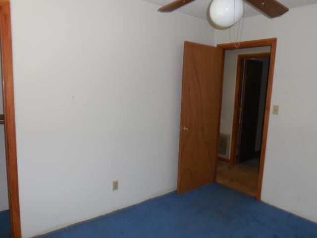 199 Ridgeway Rd, Milner, GA 30257 photo 11