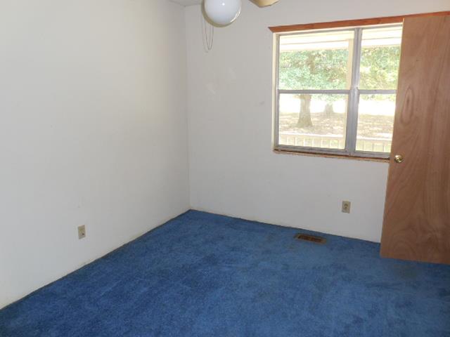 199 Ridgeway Rd, Milner, GA 30257 photo 10