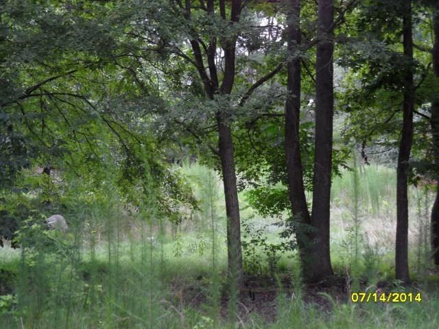 2252 Pine Valley Farm Rd, Comer, GA 30629 photo 2