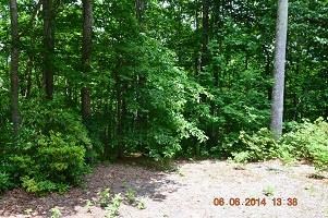 2475 Bald Mountain Rd, Dillard, GA 30537 photo 17