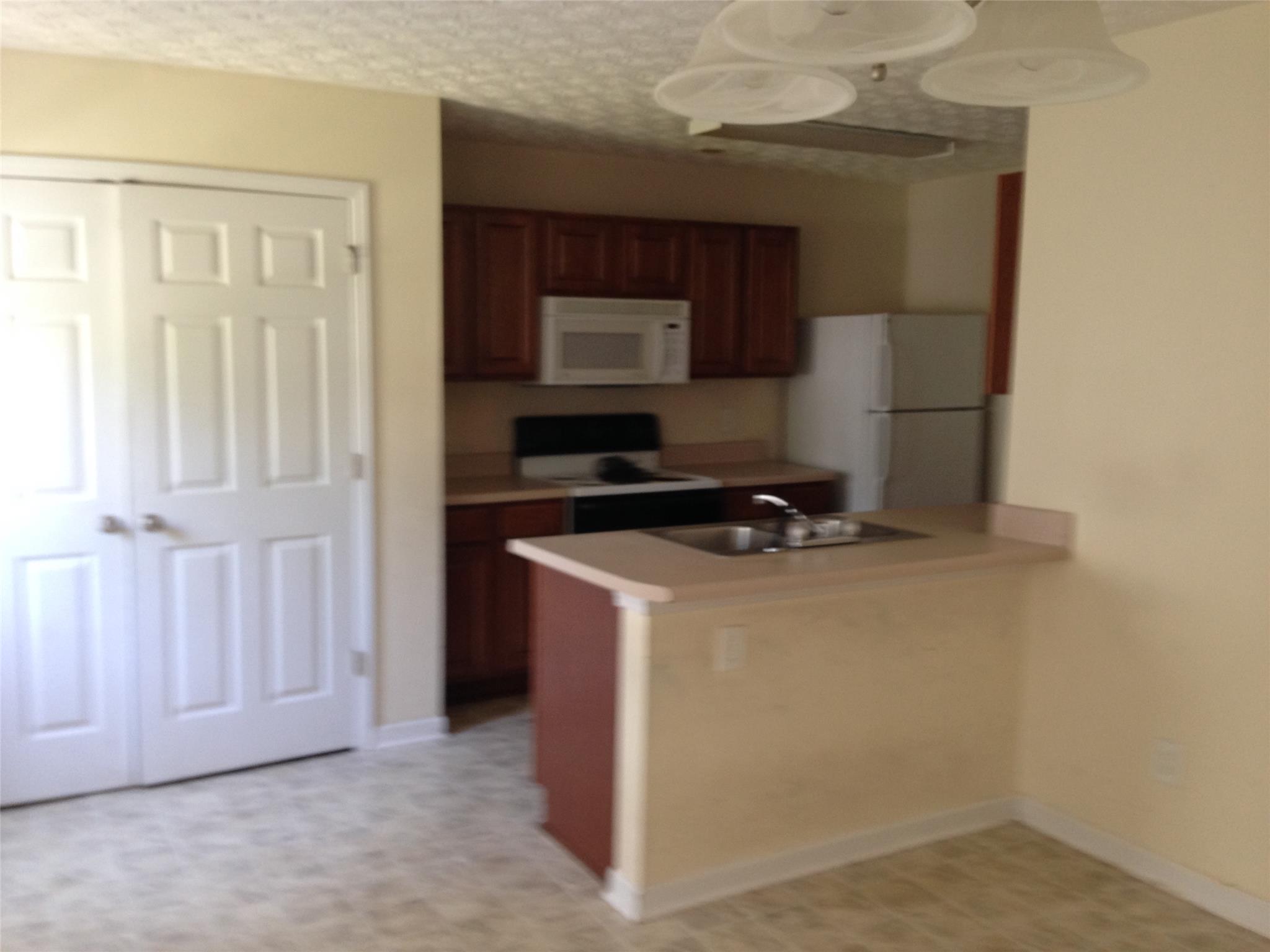 2051 Grove Way, Hampton, GA 30228 photo 3