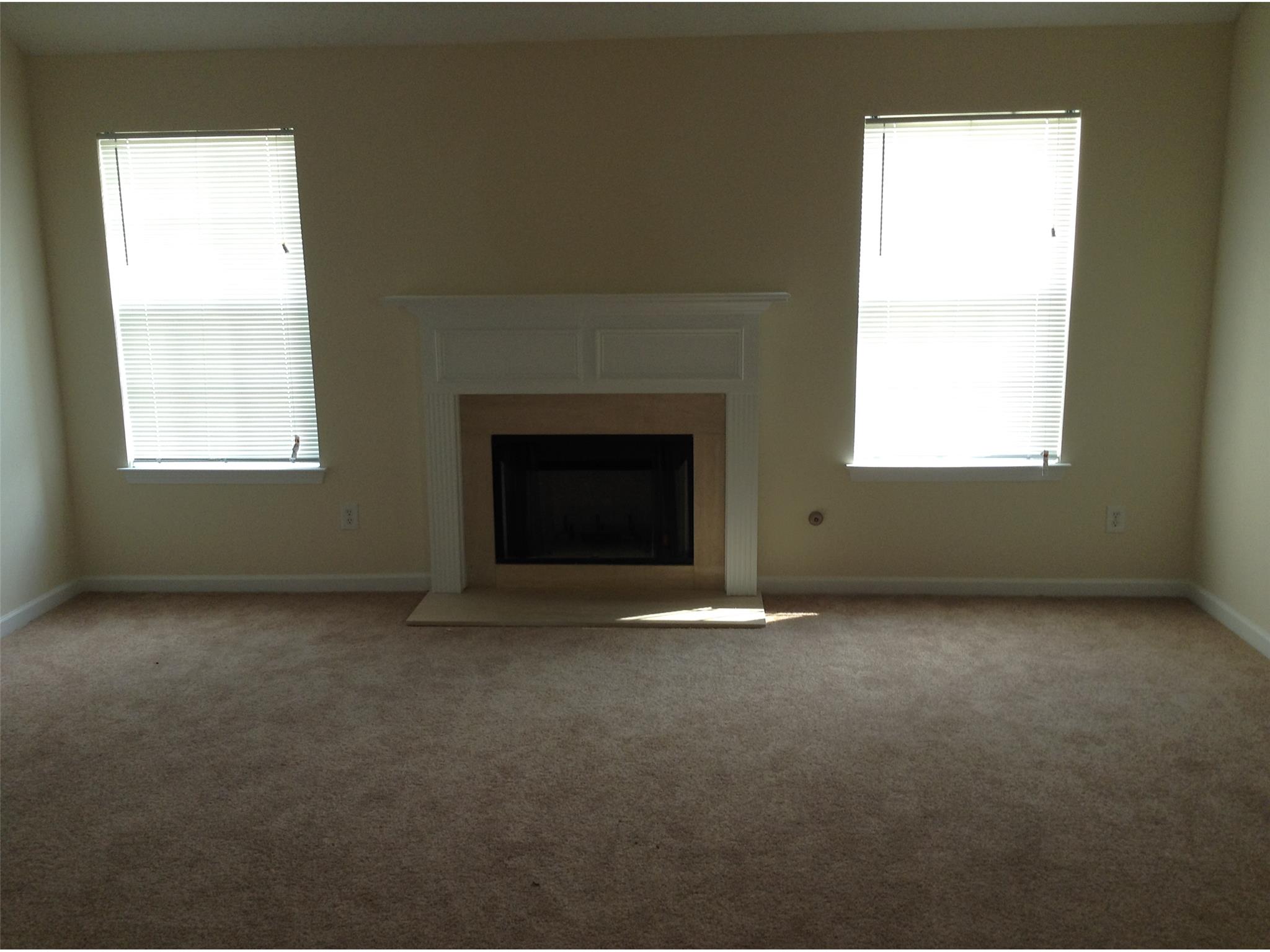 1240 Tree Leaf Ln, Conyers, GA 30012 photo 7