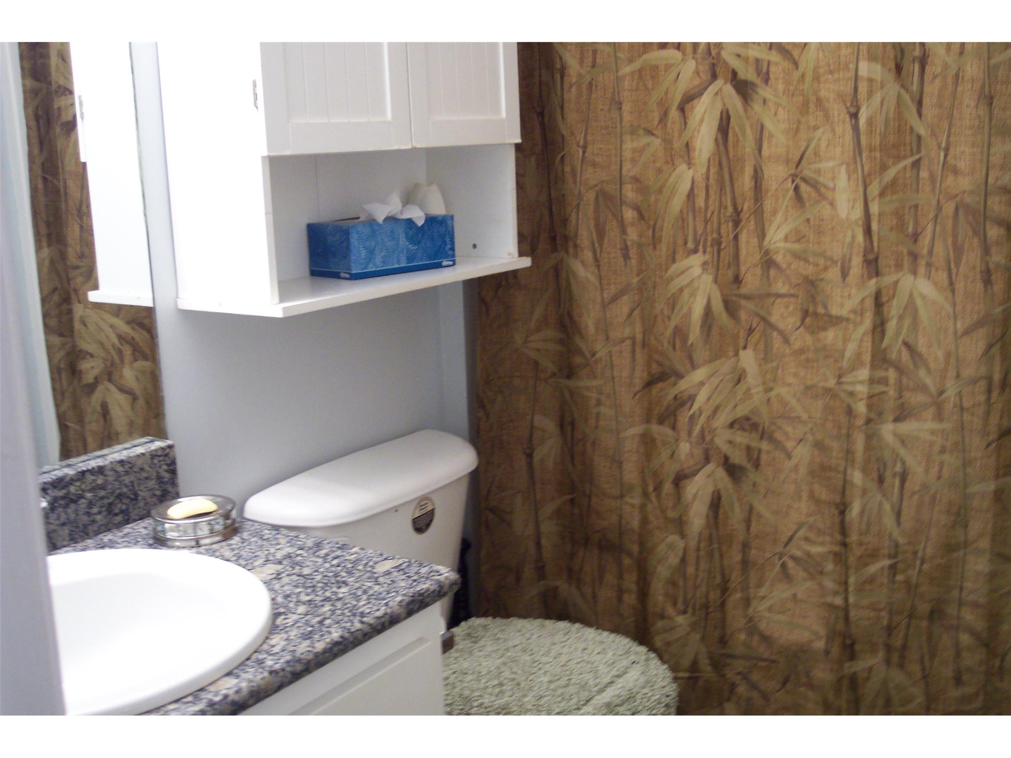 510 Pullin Rd, Mcdonough, GA 30253 photo 17