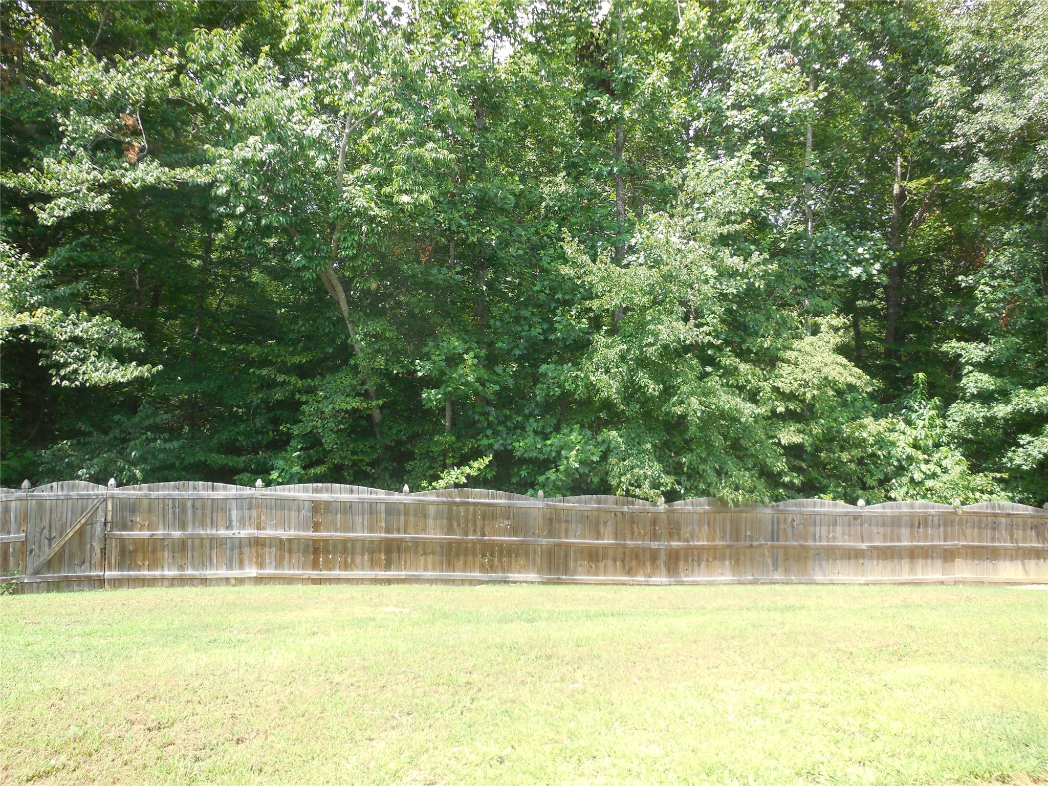 197 Bear Ln, Temple, GA 30179 photo 13