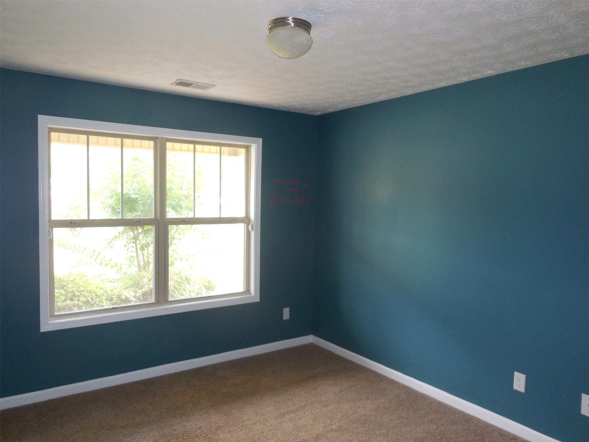 197 Bear Ln, Temple, GA 30179 photo 9