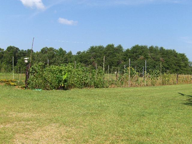 174 Buck Rd, Gray, GA 31032 photo 22