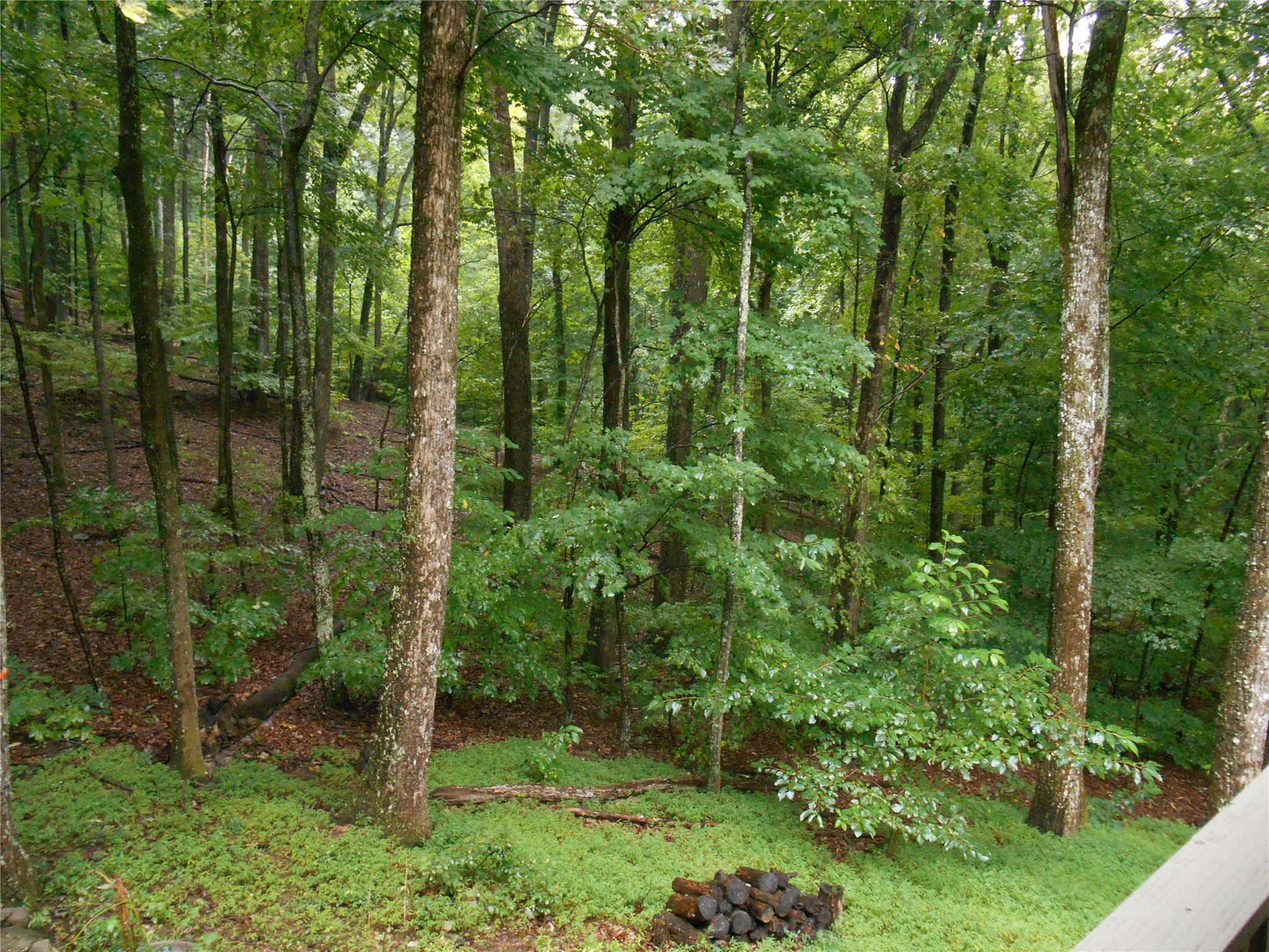 147 Buckskull Ct, Jasper, GA 30143 photo 22