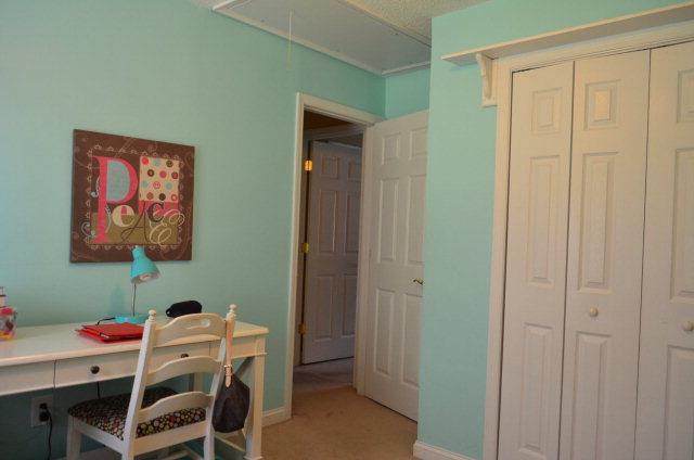 70 Hudson Mill Loop, Cataula, GA 31804 photo 22