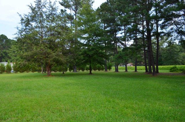 70 Hudson Mill Loop, Cataula, GA 31804 photo 1