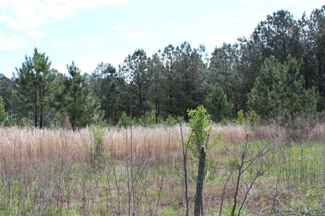 900 Ode Peppers Rd, Winder, GA 30680 photo 9