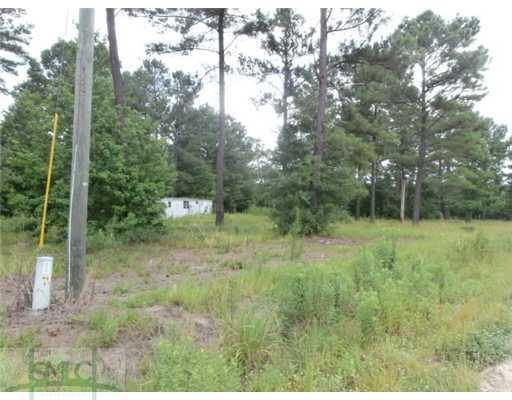 196 Douglas Rd, Springfield, GA 31329 photo 3