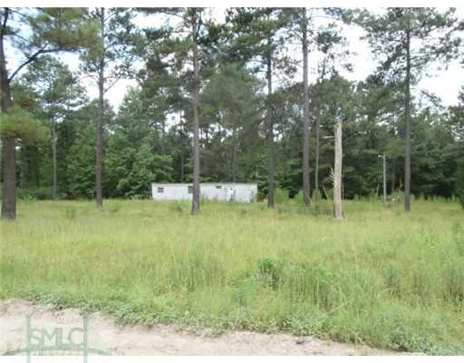 196 Douglas Rd, Springfield, GA 31329 photo 1