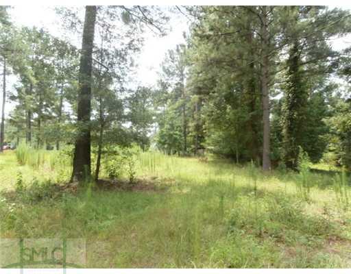 196 Douglas Rd, Springfield, GA 31329 photo 9