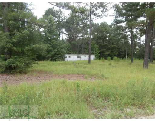 196 Douglas Rd, Springfield, GA 31329 photo 8