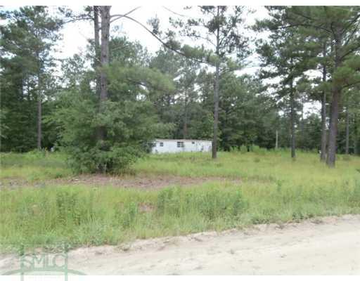 196 Douglas Rd, Springfield, GA 31329 photo 4
