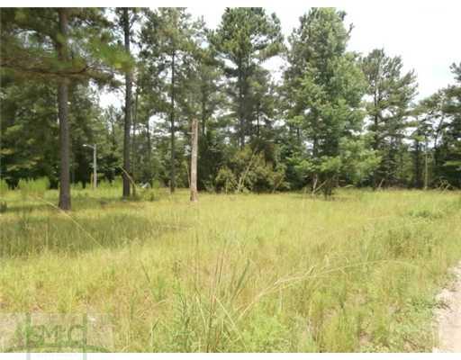 196 Douglas Rd, Springfield, GA 31329 photo 6