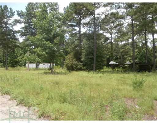 196 Douglas Rd, Springfield, GA 31329 photo 5