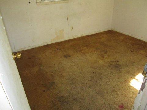 11198 Mcdonough Ct, Hampton, GA 30228 photo 2