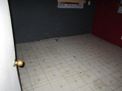 11198 Mcdonough Ct, Hampton, GA 30228 photo 3