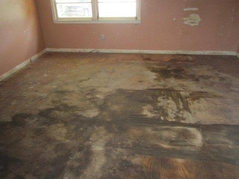 11198 Mcdonough Ct, Hampton, GA 30228 photo 4