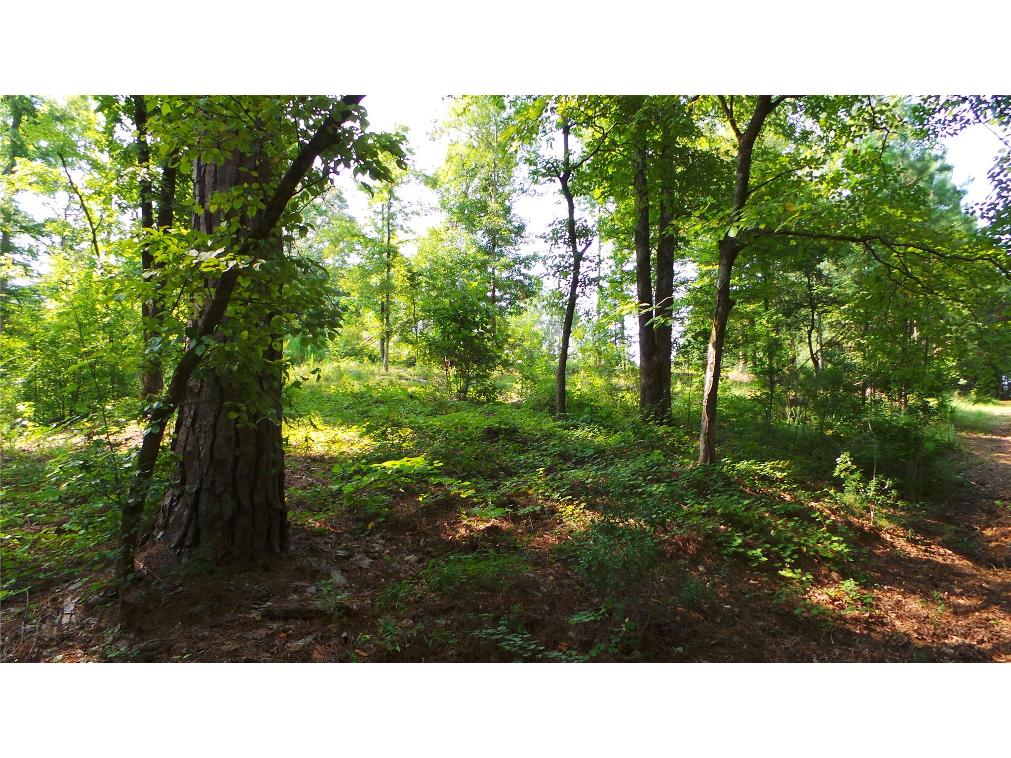 95 Cofield Rd, Lagrange, GA 30240 photo 3