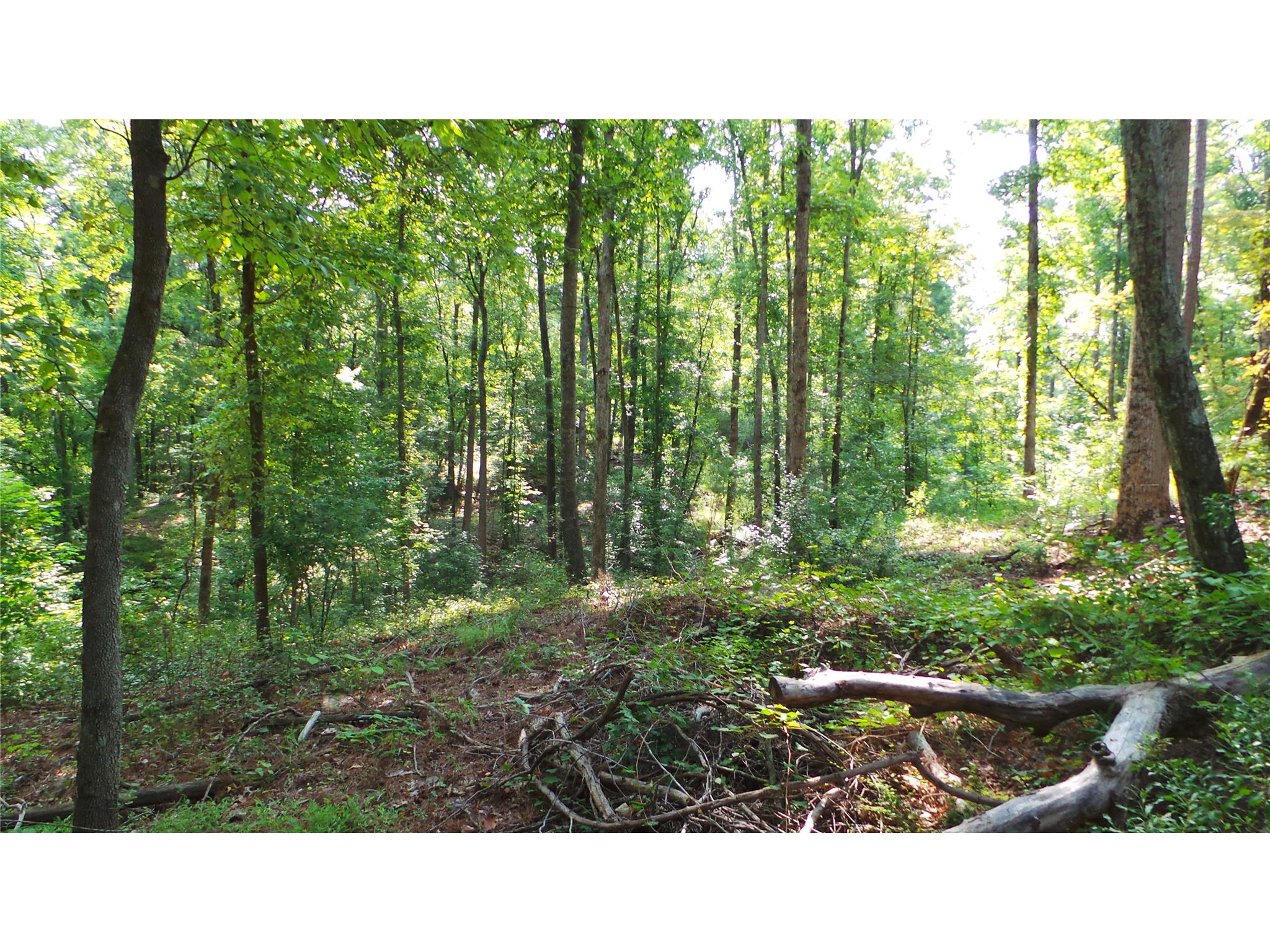 95 Cofield Rd, Lagrange, GA 30240 photo 4