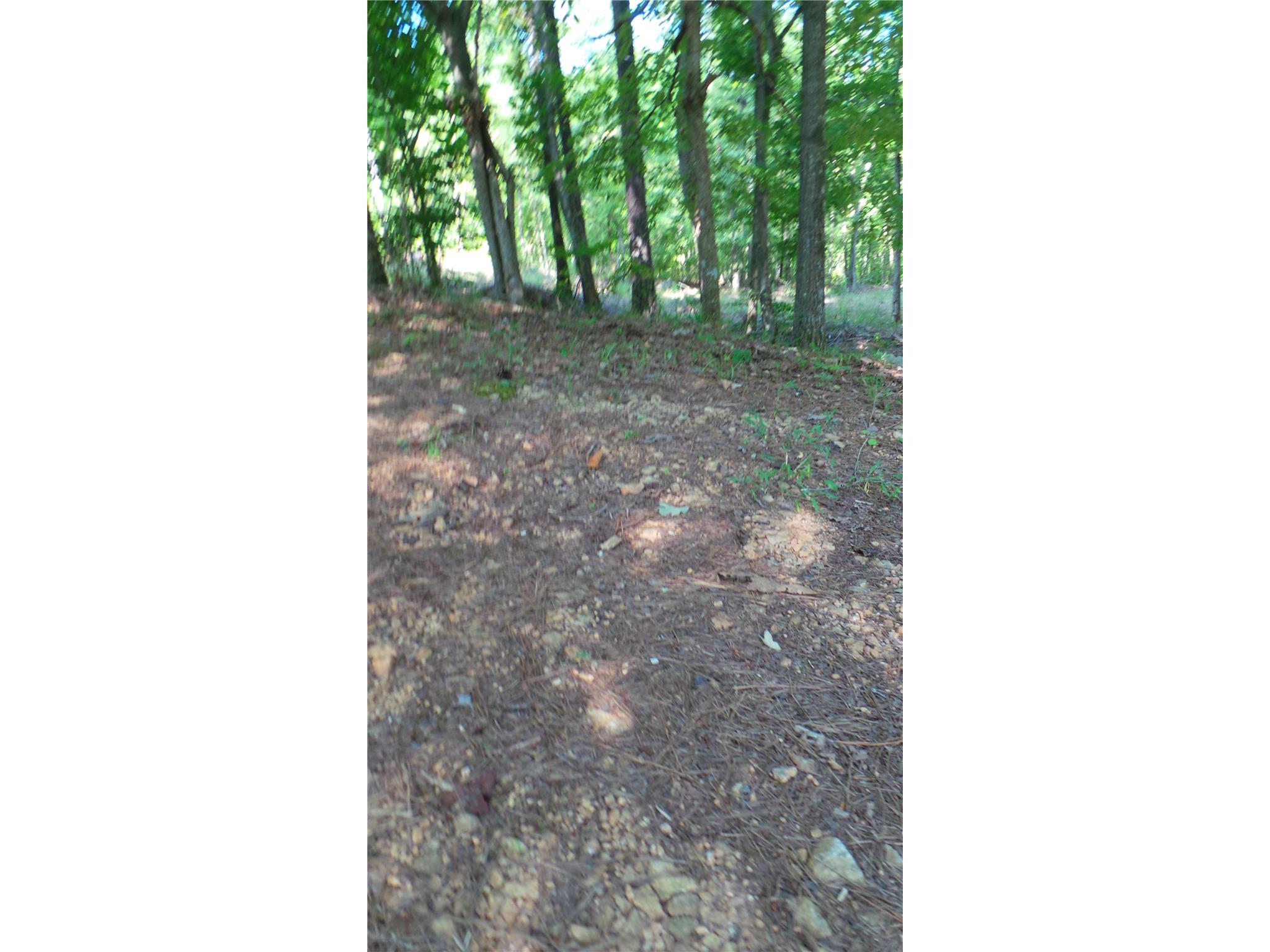 95 Cofield Rd, Lagrange, GA 30240 photo 5
