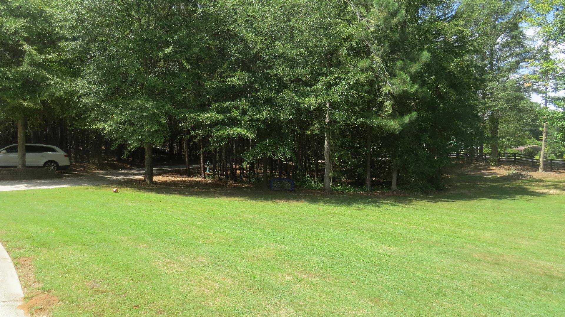431 Maddox Cir, Jackson, GA 30233 photo 8