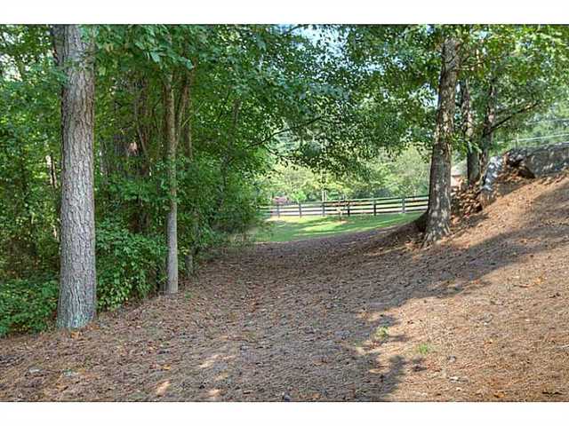 1165 Settles Rd, Suwanee, GA 30024 photo 14