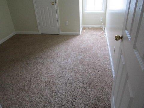 1108 Misty Meadows Way, Hampton, GA 30228 photo 10