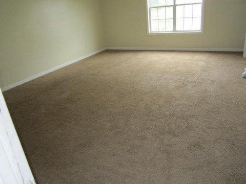 1108 Misty Meadows Way, Hampton, GA 30228 photo 8