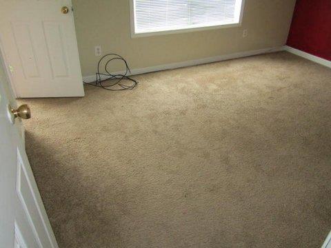 1108 Misty Meadows Way, Hampton, GA 30228 photo 9
