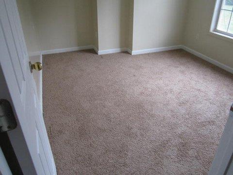 1108 Misty Meadows Way, Hampton, GA 30228 photo 11