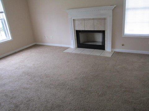 1108 Misty Meadows Way, Hampton, GA 30228 photo 2