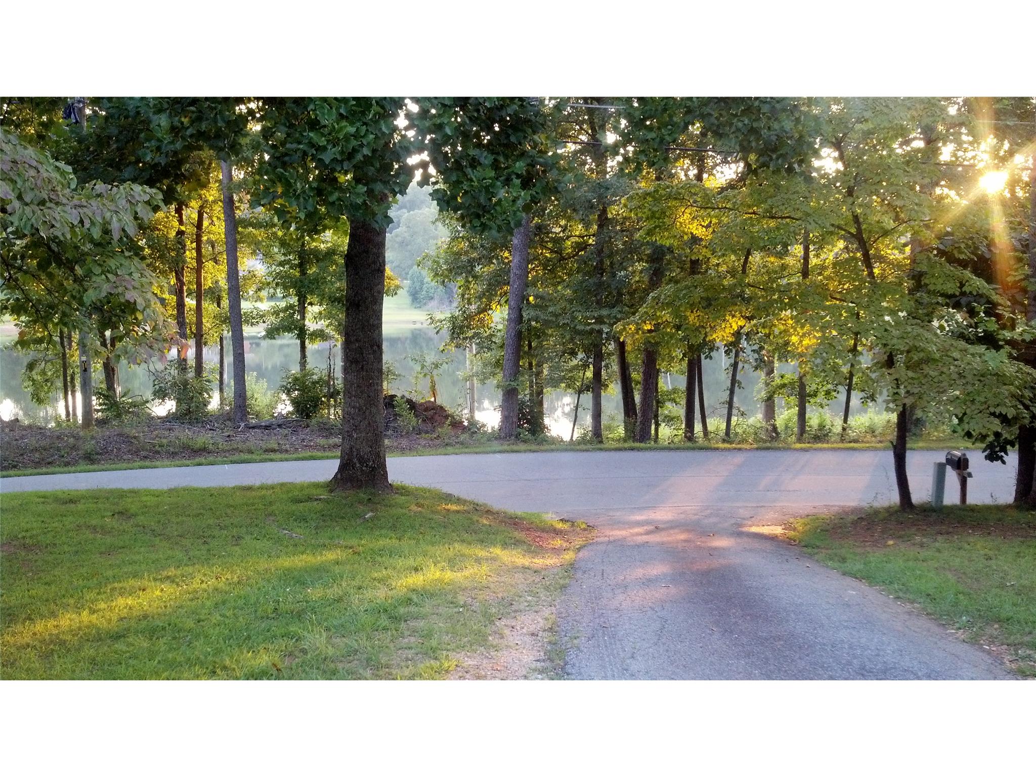 390 Wilson Rd, Cornelia, GA 30531 photo 3