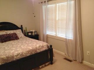4858 Smithfield Rd, Bowdon, GA 30108 photo 13