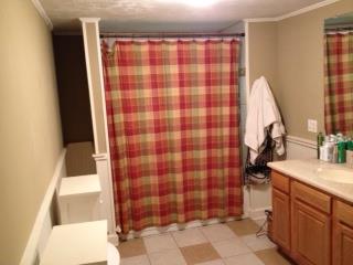 4858 Smithfield Rd, Bowdon, GA 30108 photo 16