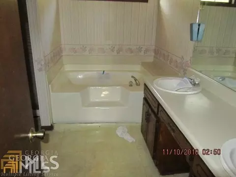 11497 Matthews Trl, Hampton, GA 30228 photo 11