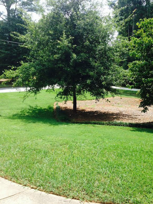 1151 Golfview Ter, Monroe, GA 30655 photo 9