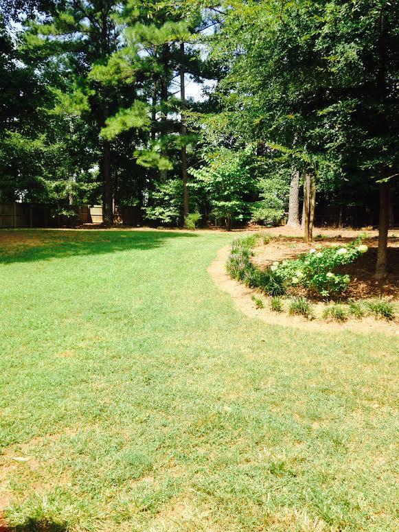 1151 Golfview Ter, Monroe, GA 30655 photo 11