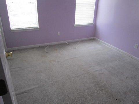 10710 Misty Meadows Ct, Hampton, GA 30228 photo 13