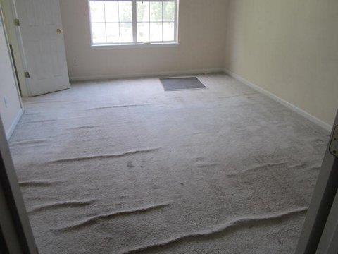 10710 Misty Meadows Ct, Hampton, GA 30228 photo 11