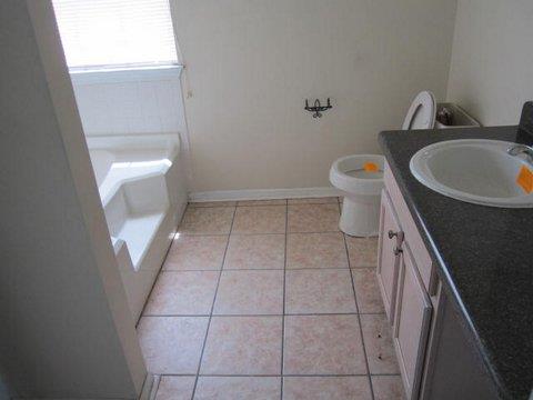 10710 Misty Meadows Ct, Hampton, GA 30228 photo 10