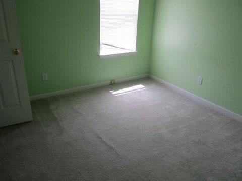 10710 Misty Meadows Ct, Hampton, GA 30228 photo 12
