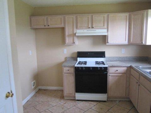 10710 Misty Meadows Ct, Hampton, GA 30228 photo 4