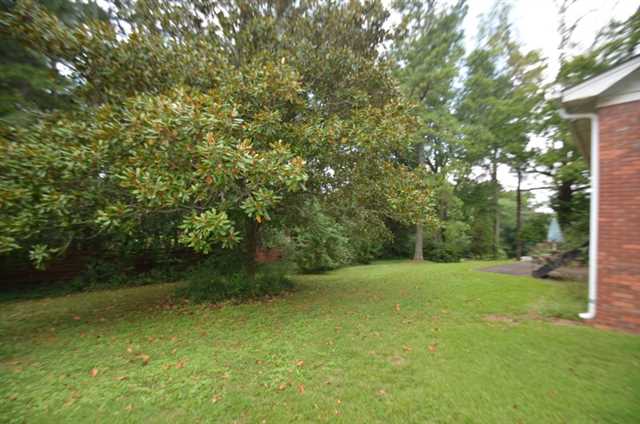 2035 Evergreen Dr, Austell, GA 30106 photo 5
