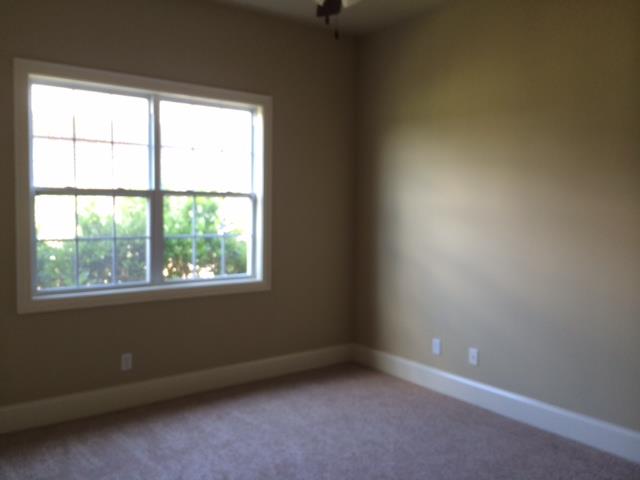 3134 Alhambra Cir, Hampton, GA 30228 photo 10