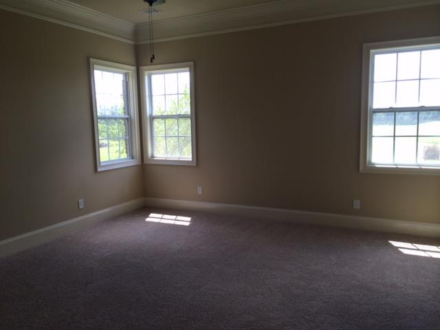 3134 Alhambra Cir, Hampton, GA 30228 photo 13