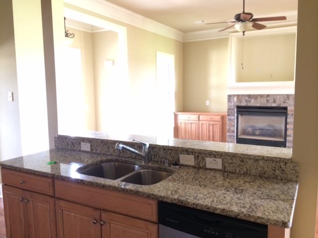 3134 Alhambra Cir, Hampton, GA 30228 photo 9