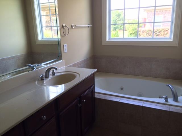 3134 Alhambra Cir, Hampton, GA 30228 photo 14